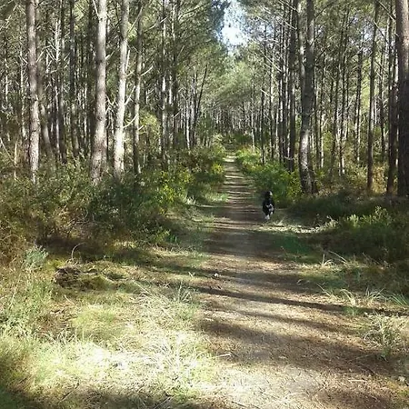 Holiday home Les Sables Blancs *