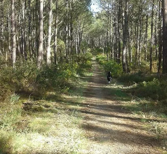 Дом отдыха Les Sables Blancs *