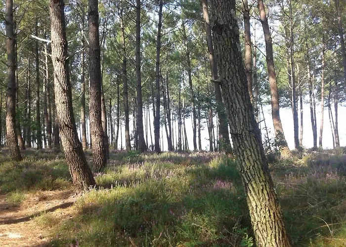 Les Sables Blancs Сен-Жюльен-ан-Борн